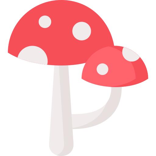 蘑菇