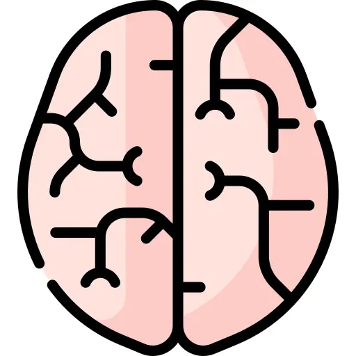 Brain