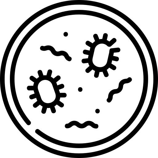 Petri dish
