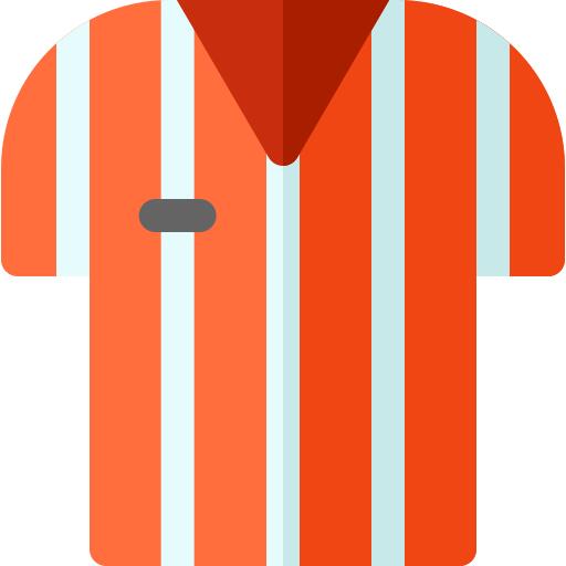 Football referee