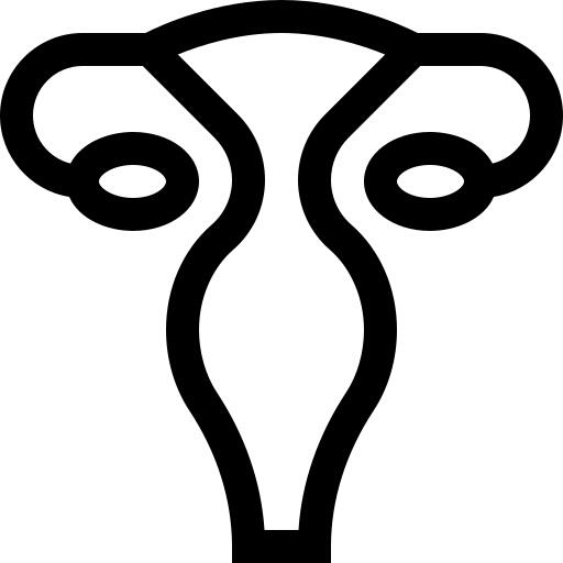 子宫