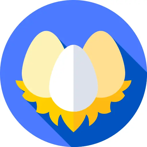 Eggs