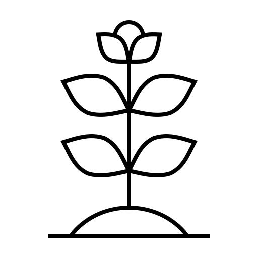 厂