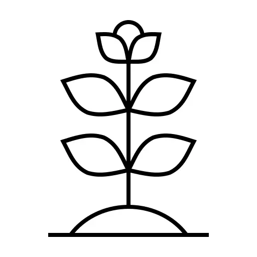 厂
