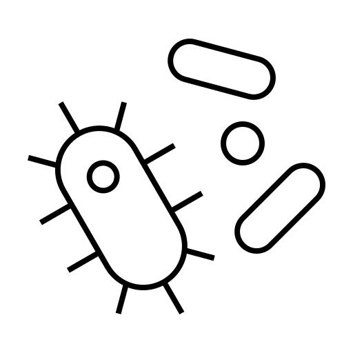 Bacteria