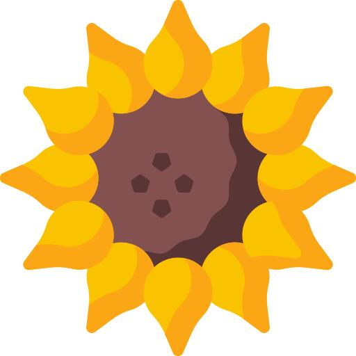 向日葵