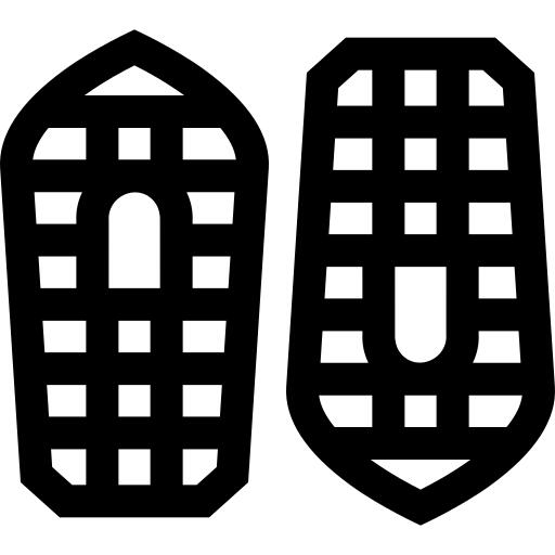 Snowshoes