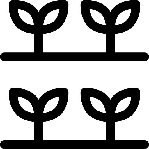 豆芽