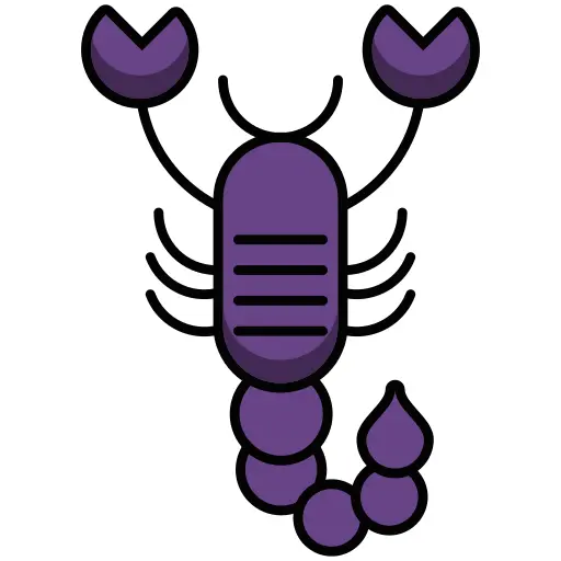 蝎