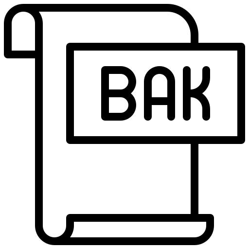 Bak file