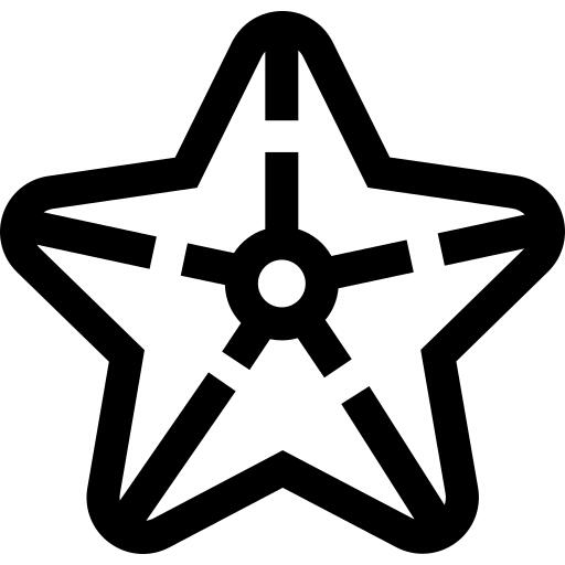 海星