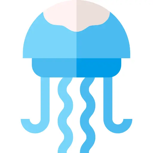 Jellyfish
