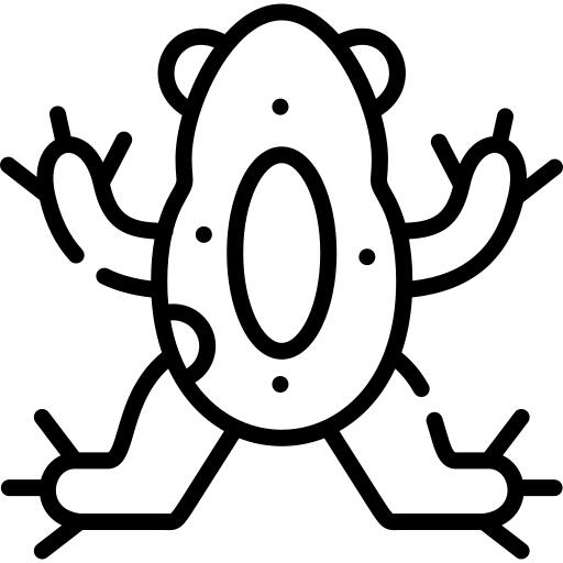 青蛙
