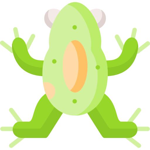 青蛙