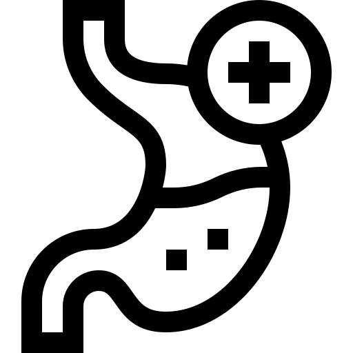 Stomach
