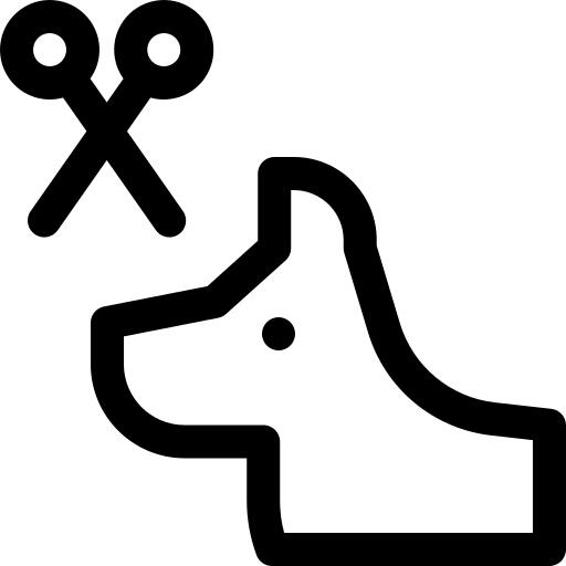 修饰