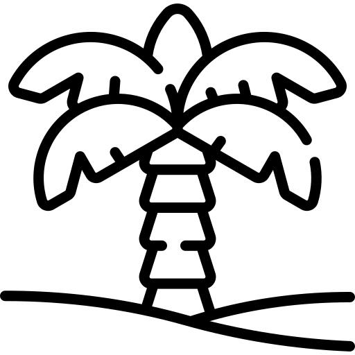 棕榈树