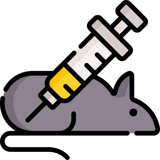 Rat