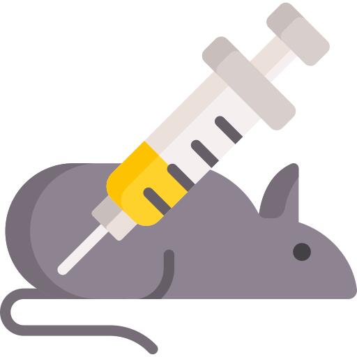 Rat