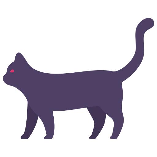 黑猫