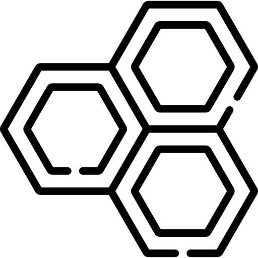 分子
