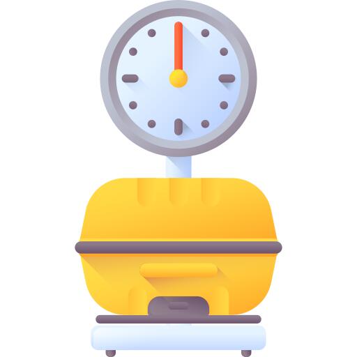 Luggage scale