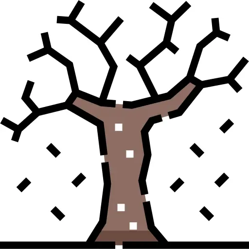 树