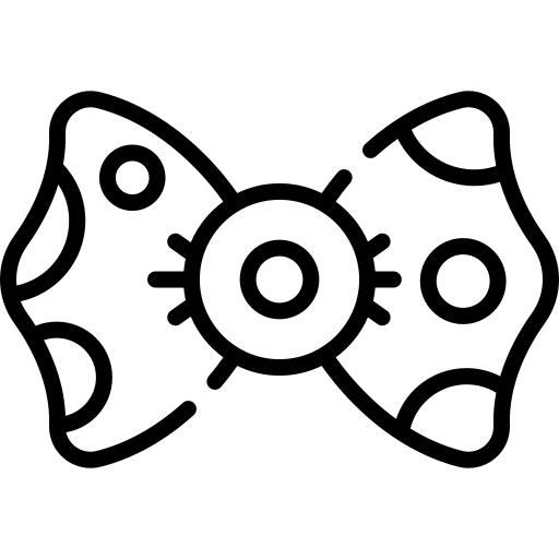 Bow tie