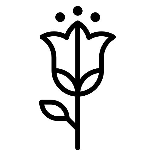 Tulip