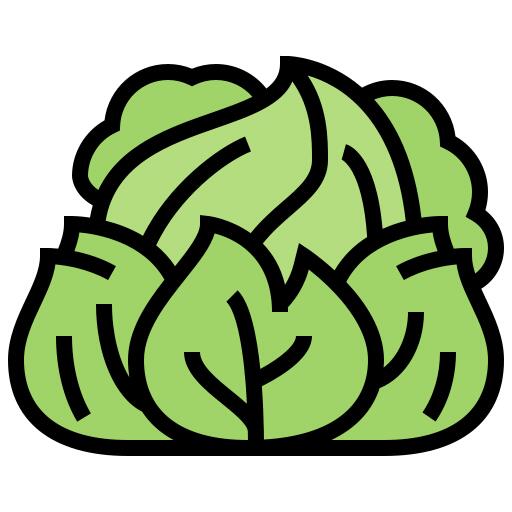 卷心菜