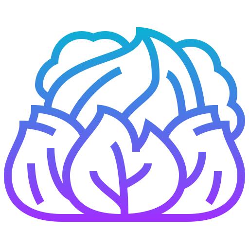 卷心菜