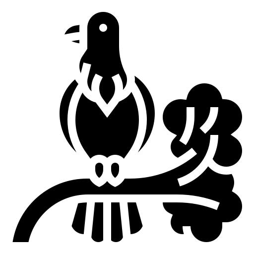 鹰