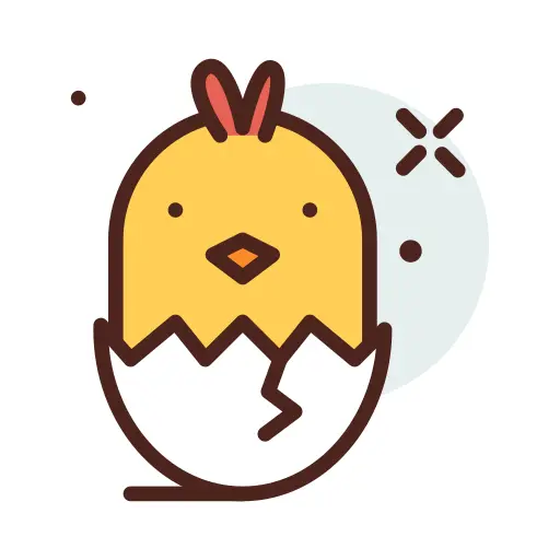 Chicken egg