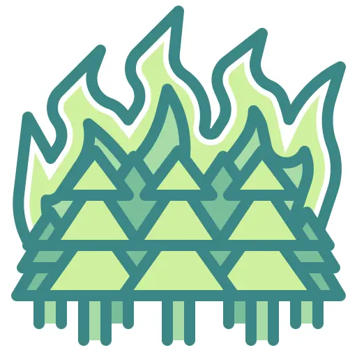 Forest fire
