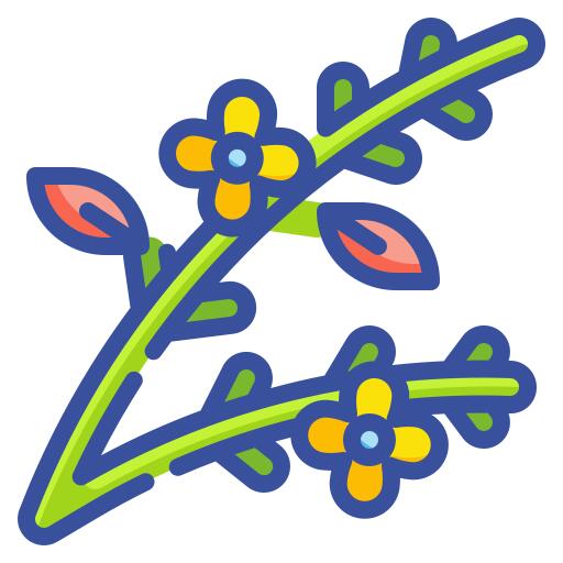 Branch
