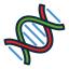 Dna