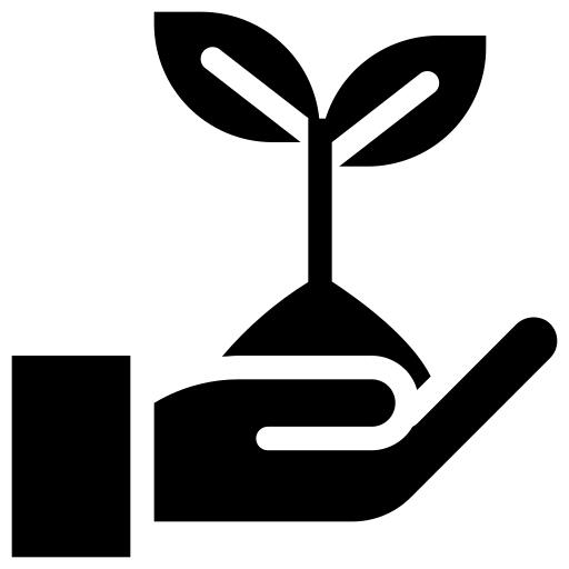 Plant leaf