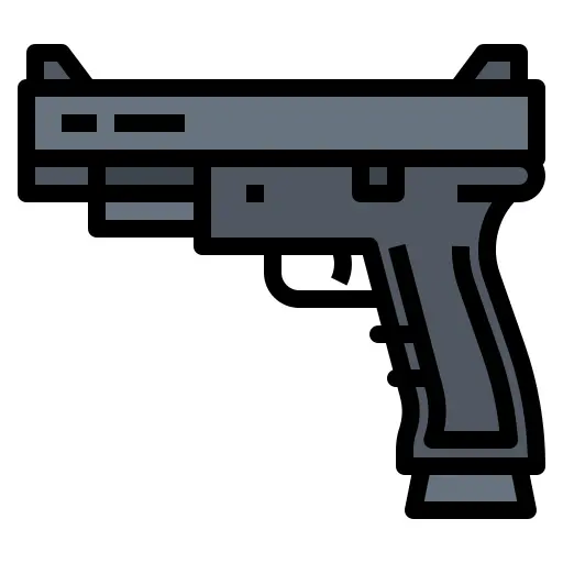 Gun