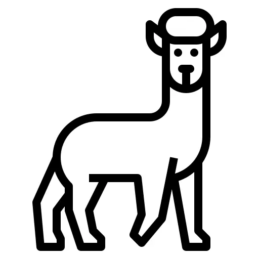 Alpaca