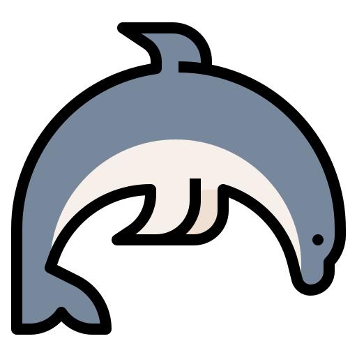 海豚