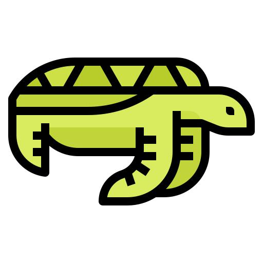 龟