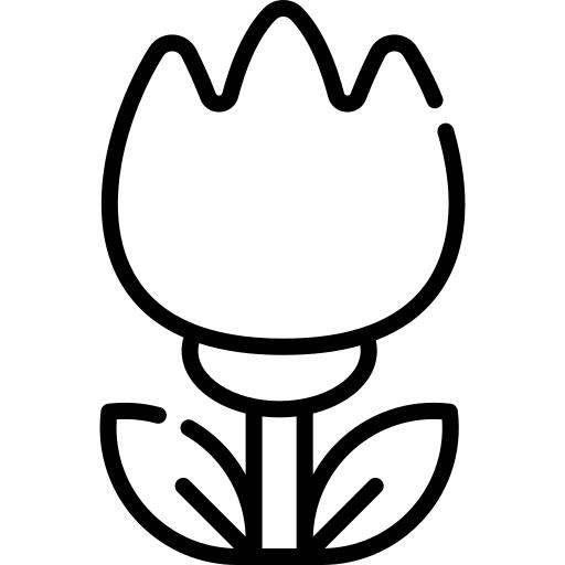 巨集