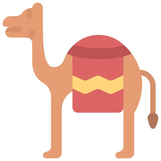 Camel