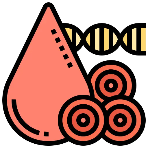 Blood