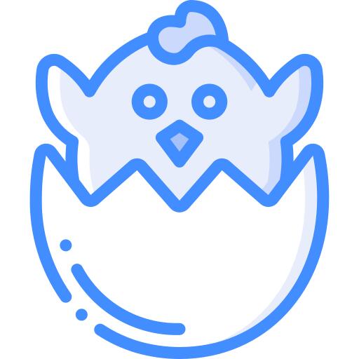 小鸡