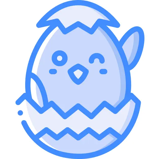 小鸡