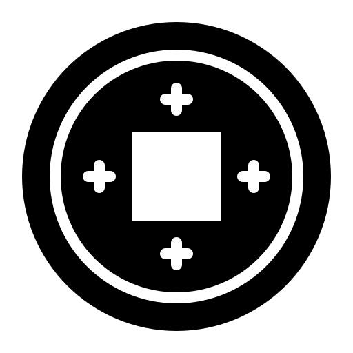 Chinese coin