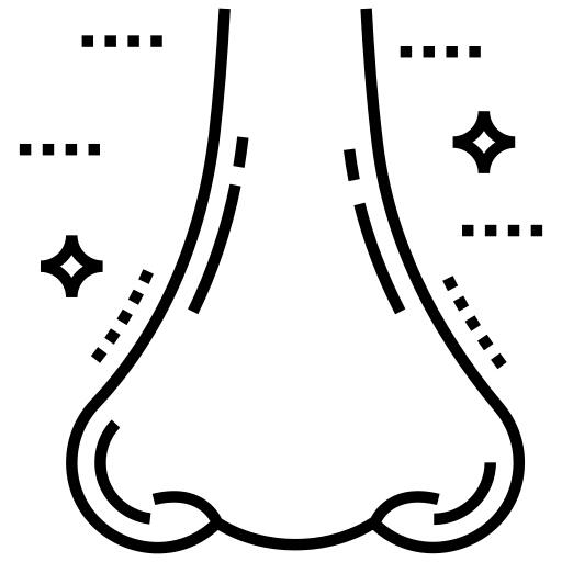 鼻子