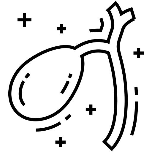 Gallbladder