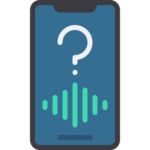 Voice assistant
